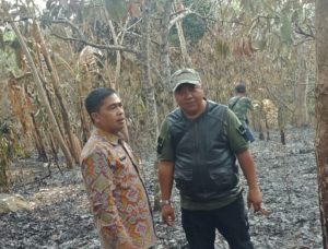 Kebakaran Lahan Tanaman di Penengahan Lampung Selatan.