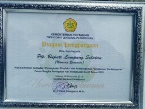 Plt Bupati Lamsel H. Nanang Ermanto Terima Penghargaan Kementrian Pertanian