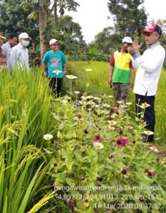 Menuju Produktivitas Pertanian Unggul Dengan Inovasi Teknologi Mikroghaly