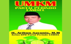 Aribun Sayunis Berkomitmen Kembangkan UMKM di Lampung Selatan