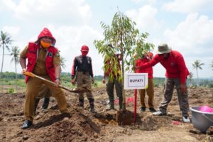 Diproyeksi Jadi Kebun Edukatif, Nanang Tanam Ratusan Pohon Buah