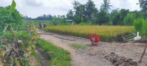 Pekerjaan Infrastruktur Desa Fajar Baru Jati Agung Diduga Asal Asalan