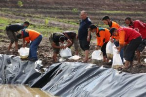 Agrowisata, 15 Ribu Ikan Jenis Nila Hiasi Area Kebun Wisata Edukasi di Lamsel