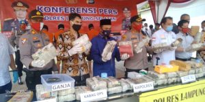 Dalam Seminggu Polres Lamsel Berhasil Amankan 54,2 Kg Ganja