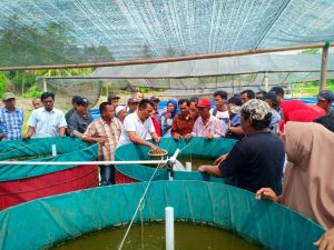 DPD Perindo Lamsel, Adakan Pelatihan UMKM di Palas