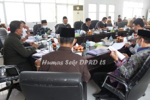 DPRD Lamsel Bahas Pendirian BUMD dan Penyertaan Modal
