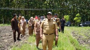 Bupati Lamsel Serius Atasi Ketahanan Pangan Melalui Petani Milenial