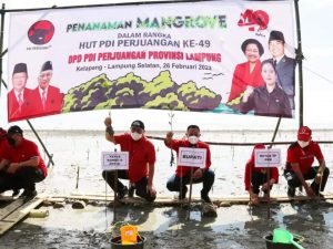 Ketua Komisi IV DPR RI Sudin Tanam 1.000 Pohon Mangrove di Desa Ketapang
