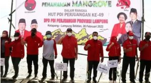 Fraksi PDIP DPRD Lamsel Hadiri Penanaman 1000 Pohon Mangrove di Ketapang