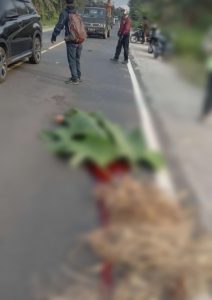 Truk vs Motor di Munjuk Sampurna Kalianda, Satu Orang Meninggal
