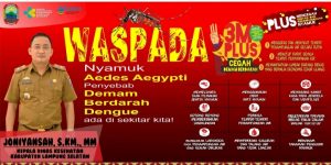 Meningkatnya Kasus DBD, Dinkes Lamsel Ingatkan Atasi PSN Dengan 3M Plus