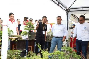 Lomba Burung Kicau dan Pameran Bonsai, Meriahkan Gelaran Pesta Rakyat Dihari Kedua