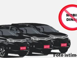 Plat Mobil Dinas Diganti Plat Pribadi, DPC Pospera: Tertibkan, Pasang Stiker Logo Pemkab Lamsel