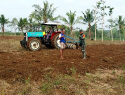 Bentuk Kemanunggalan, Babinsa Bantu Petani Olah Lahan Pertanian