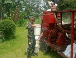 Serma Imron Bantu Warga Desa Mandah Giling Padi