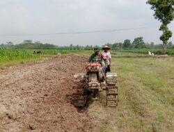 Dukung Hanpangan, Babinsa Bersama Petani Olah Lahan Pertanian