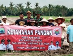 Jaga Ketahanan Pangan, Babinsa Bantu Poktan Tanam Bawang Merah