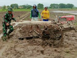Percepat Masa Tanam, Babinsa Turun Ke Sawah