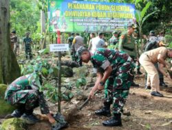 Peduli Lingkungan Hidup, Danrem 043/Gatam Pimpin Penanaman Pohon Serentak di Gunung Rajabasa