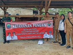Dukung Ketahanan Pangan di Bidang Peternakan, Babinsa Sambangi Peternakan Sapi Milik Desa Binaan