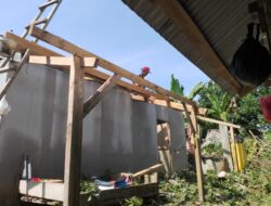 Hujan Deras Disertai Angin Kencang Rusak Ratusan Hektar Sawah dan Rubuhkan 6 Rumah Di Sragi