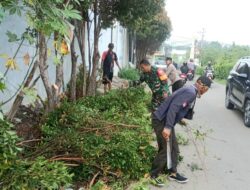 Jaga Keselamatan Masyarakat, Babinsa dan Bhabinkamtibmas Bantu Warga Tebang Ranting dan Dahan Pohon