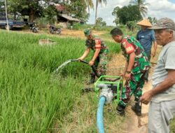 Babinsa Koramil 421-06/Natar Bantu Petani Mengairi Sawah Dengan Mesin Pompa Air
