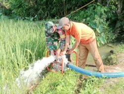 Babinsa Koramil 421-06/Natar Bantu Petani Mengairi Sawah dengan Mesin Alkon