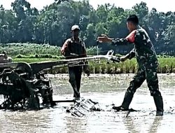Percepat Masa Tanam, Babinsa Turun Ke Sawah Bantu Petani Olah Lahan