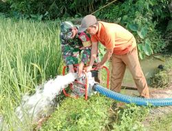 Babinsa Koramil 421-06/Natar Bantu Petani Mengairi Sawah Dengan Mesin Pompa Air