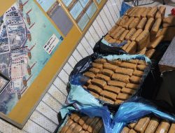 Upaya Penyelundupan 159 Kilogram Ganja Asal Padang Digagalkan Polda Lampung