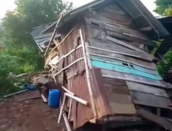 Kawanan Gajah Rusak 7 Rumah Warga di Kabupaten Tanggamus