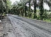 Debu Batubara PT. SIP Sebabkan Jalan Berdebu dan Licin Saat Hujan: Picu Penyakit Pernapasan