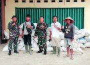 Babinsa Koramil 421-06/Natar Dampingi Bulog Serap Gabah Petani di Desa Bandar Rejo