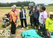 Musim Panen Telah Tiba, Babinsa Koramil 421-06/Natar Dampingi Satker Bulog Kalianda Serap Gabah Petani : Alhamdulilah Harga Sesuai HPP