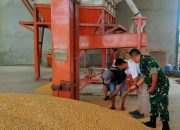 Danramil 421-06/Natar Tinjau Penggilingan Padi dan Jagung CV. Natar Agro Sejahtera Mitra Bulog Kanwil Lampung