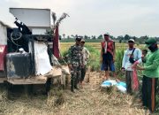 Babinsa Koramil 421-06/Natar Komsos Dengan Petani Guna Meningkatkan Ketahanan Pangan