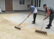 Demi Jaga Kualitas Panen, Babinsa Koramil 421-06/Natar Bantu Petani Jemur Padi