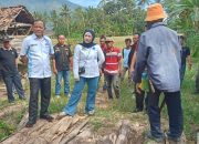Cepat Tanggap, Wakil Ketua III DPRD Lamsel Bella Jayanti Tinjau Jembatan Hanyut Penghubung Dua Dusun di Desa Tajimalela