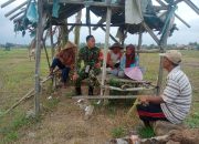 Babinsa Tanjung Sari Komsos Dengan Petani, Sebagai Wujud Kepedulian Guna Meningkatkan Hasil Pertanian