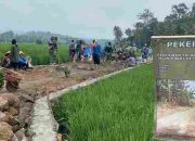 Bahu Membahu di Atas Coran, TMMD ke-127 Wujudkan Jalan Rabat Beton untuk Warga