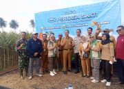Babinsa Koramil 421-06/Natar Hadiri Panen Raya dan Expo Produk Jagung NK Perkasa Sakti di Tegineneng