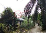 Kabel Listrik Tower XL Diduga Membahayakan Warga Teluk Sungkai, Minta PLN Segera Tanggap