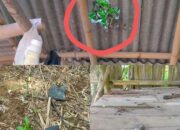 Blasting PT Bima Mix Diduga Mengancam Nyawa, DPRD Minta Semua Pihak Dipanggil, Jangan Tunggu Korban Jatuh