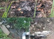 Dugaan Pelanggaran Lingkungan Dapur MBG Sidomulyo: Sampah Dibakar Dekat Permukiman, IPAL Sempat Bermasalah