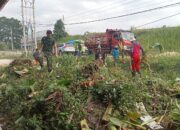 Sinergi TNI dan Rakyat, Koramil 421-06/Natar Bersama Warga Gotong Royong Tuntaskan Penataan Gedung Koperasi Desa Merah Putih Rulung Sari