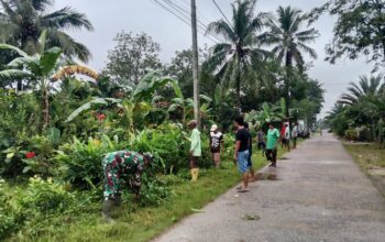 Wujud Nyata Program Desa HELAU, Babinsa dan Warga Kalisari Kompak Gotong Royong