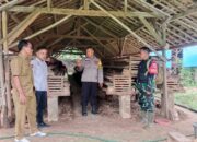 Dukung Program Ketahanan Pangan, Babinsa dan Bhabinkamtibmas Sambangi Peternakan Ayam Petelur BUMDes Tunas Baru Desa Kalisari