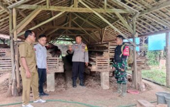 Dukung Program Ketahanan Pangan, Babinsa dan Bhabinkamtibmas Sambangi Peternakan Ayam Petelur BUMDes Tunas Baru Desa Kalisari