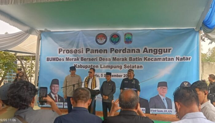 Menteri Desa Panen Anggur di Merak Batin, Koramil 421-06/Natar Kawal Kegiatan dan Perkuat Sinergi Kewilayahan